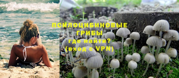 дурь Алексин
