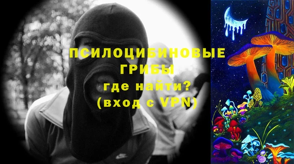 дурь Алексин