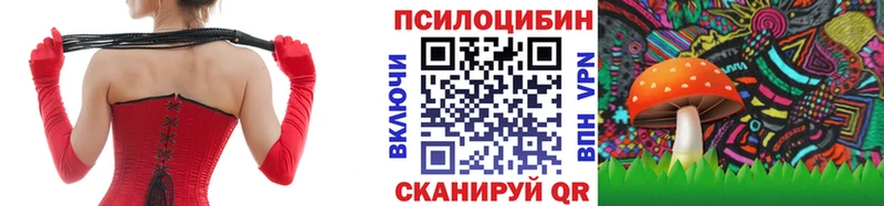 Псилоцибиновые грибы ЛСД как найти закладки Камызяк